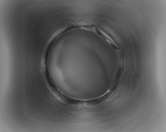 X0000114100634200910131323