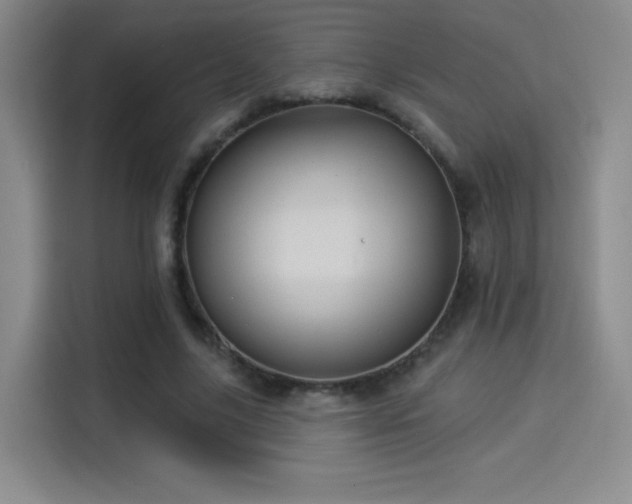 X0000114100635200910131323