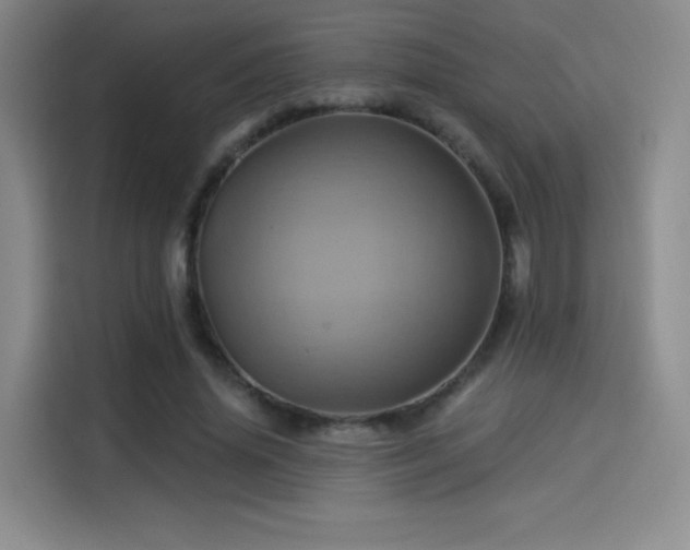 X0000114100636200910131323