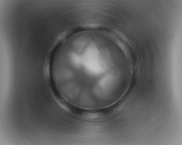 X0000114100638200910131323