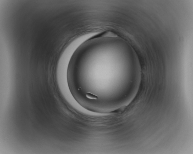 X0000114100642200910131323