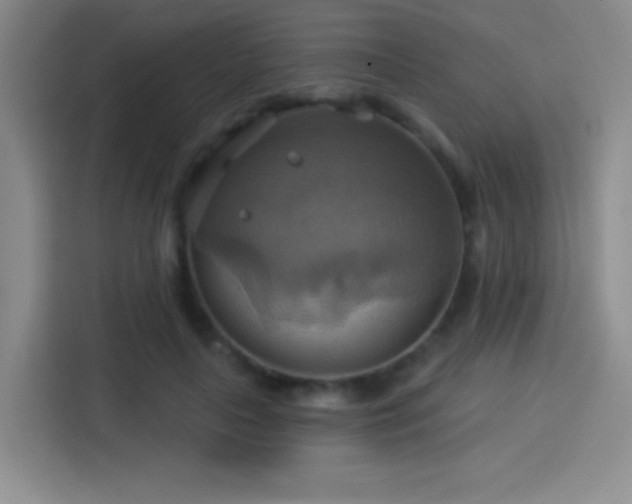 X0000114100643200910131323