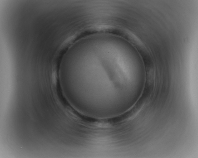 X0000114100644200910131323