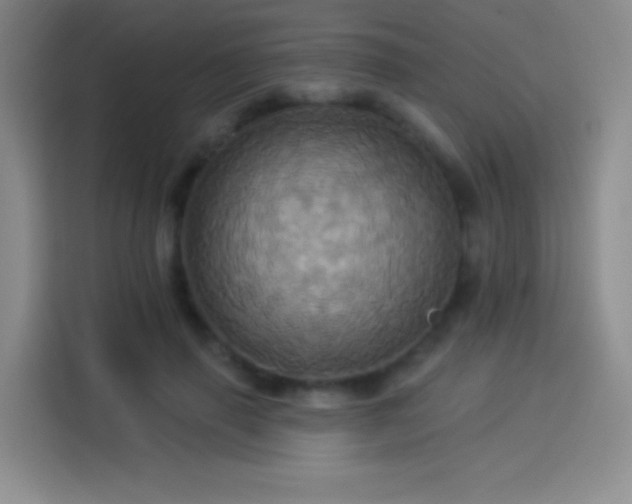 X0000114100645200910131323