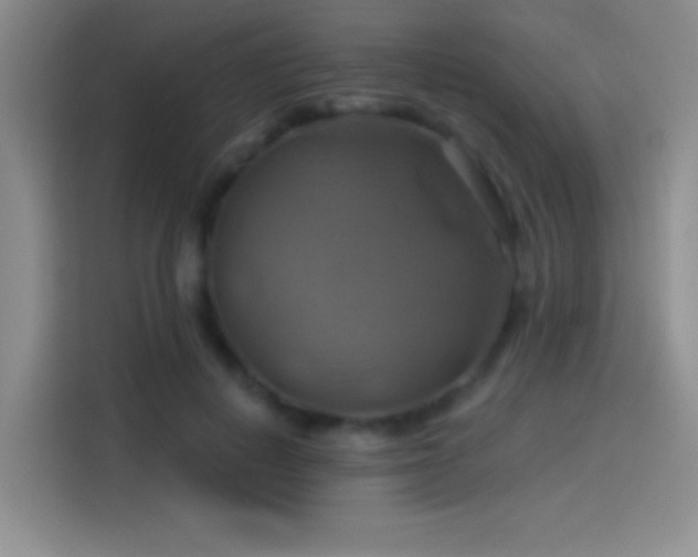 X0000114100648200910131323