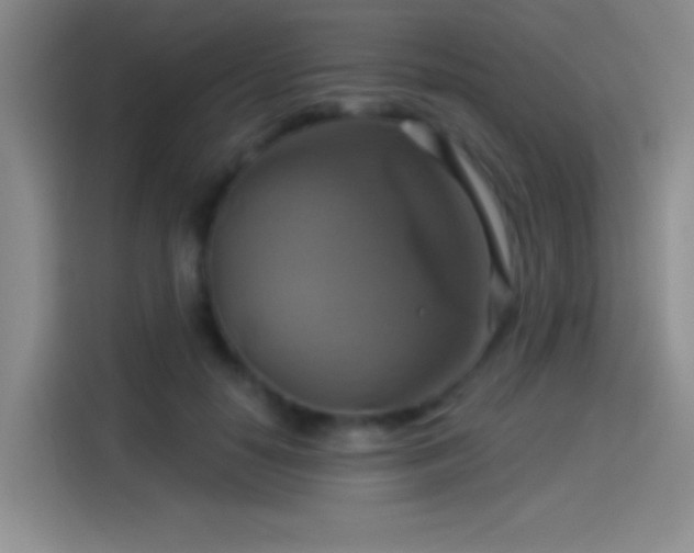 X0000114100650200910131323