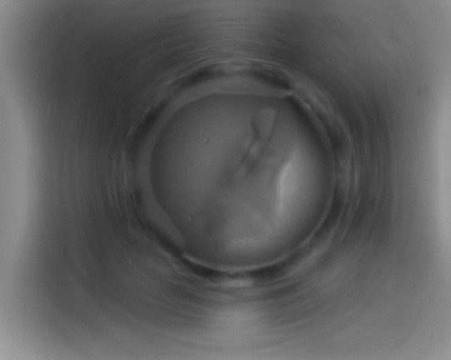 X0000114100653200910131323