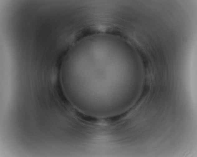 X0000114100656200910131323