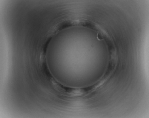 X0000114100659200910131323