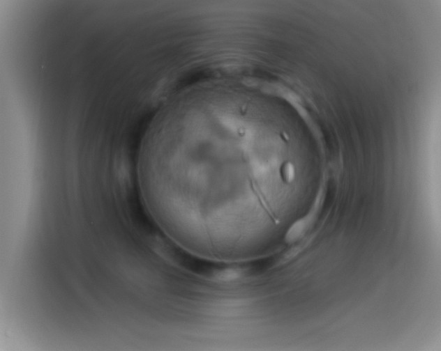 X0000114100662200910131323