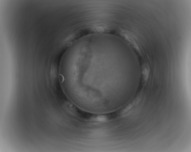 X0000114100665200910131323