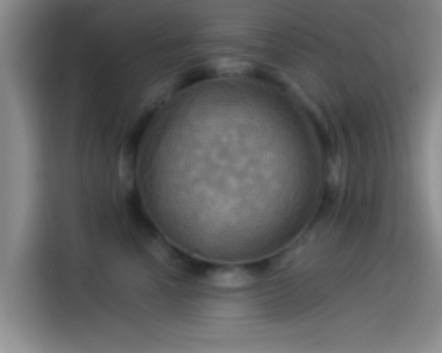 X0000114100666200910131323