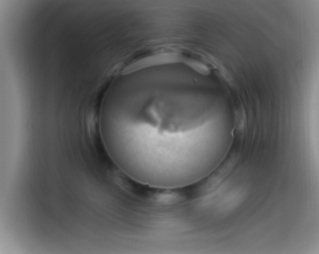 X0000114100669200910131323