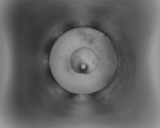 X0000114100672200910131323