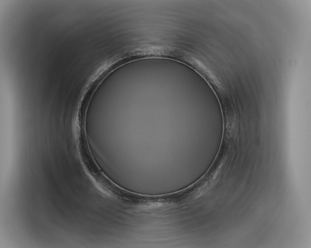 X0000114100674200910131323