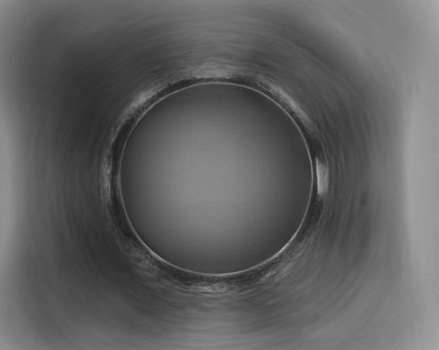 X0000114100675200910131323