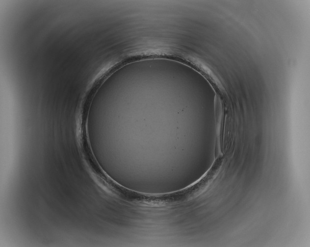 X0000114100677200910131323