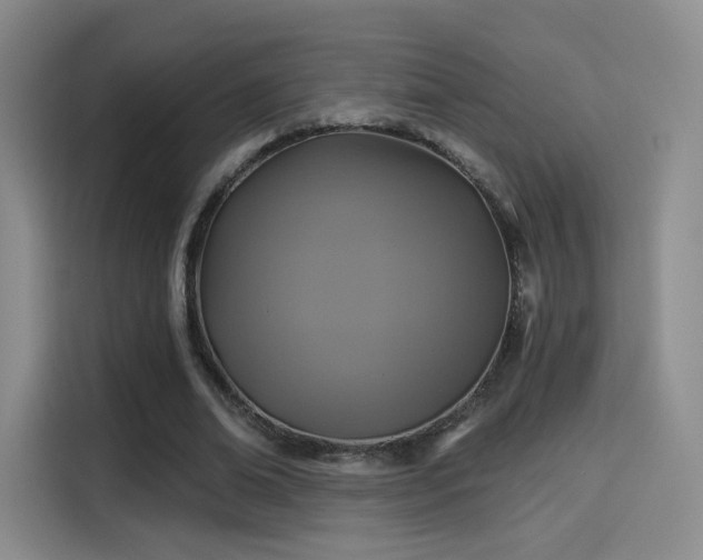 X0000114100678200910131323