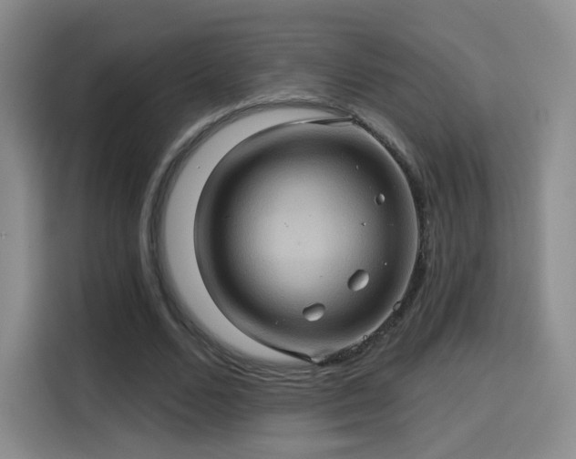 X0000114100680200910131323