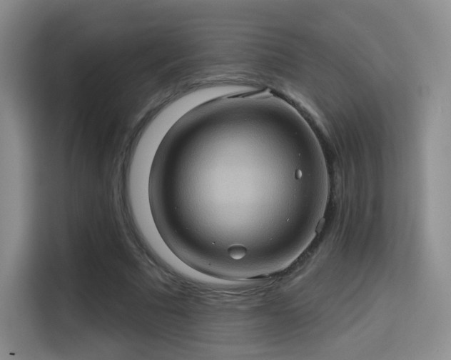 X0000114100681200910131323