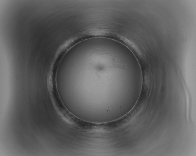 X0000114100682200910131323