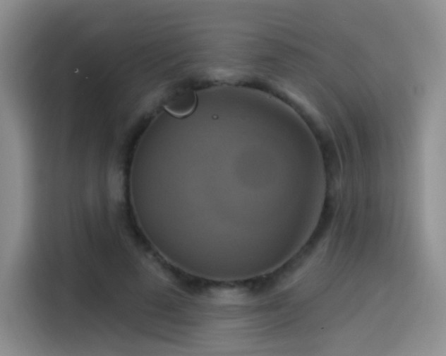 X0000114100689200910131323