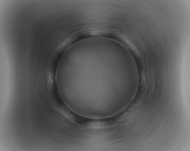 X0000114100691200910131323