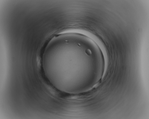 X0000114100692200910131323