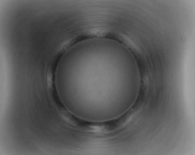 X0000114100693200910131323