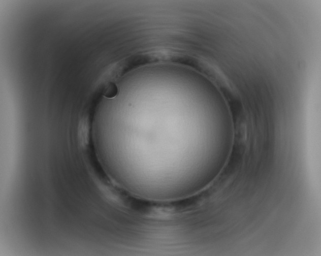 X0000114100694200910131323