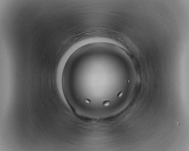 X0000114100697200910131322