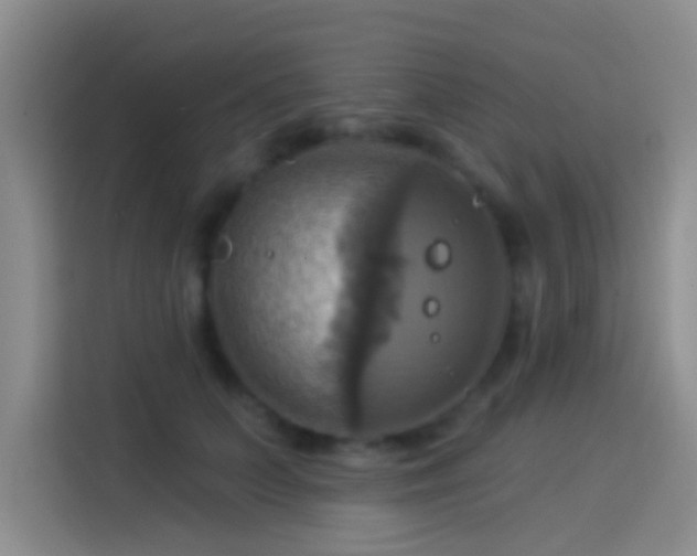 X0000114100703200910131322