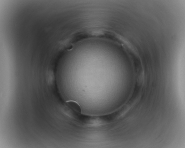 X0000114100704200910131322