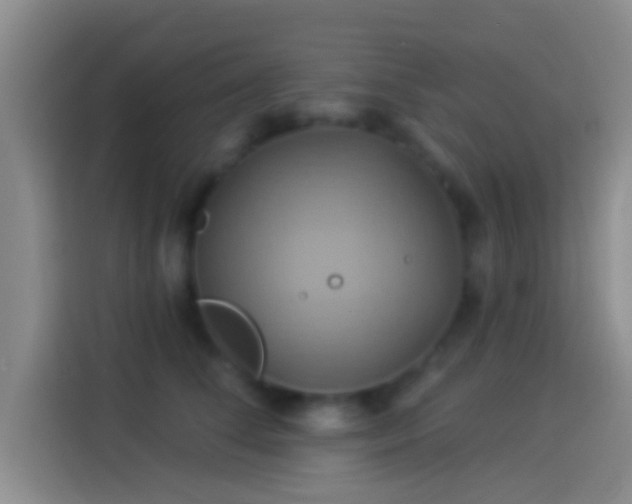 X0000114100708200910131322