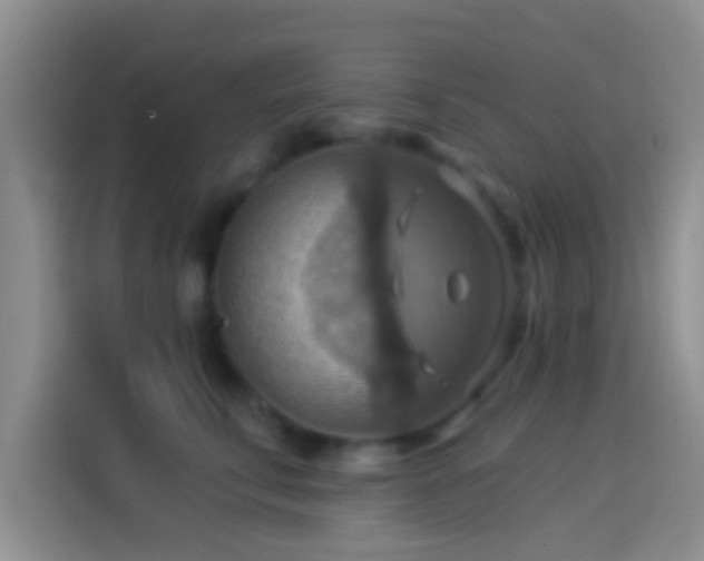 X0000114100711200910131322