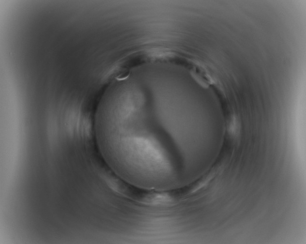 X0000114100715200910131322