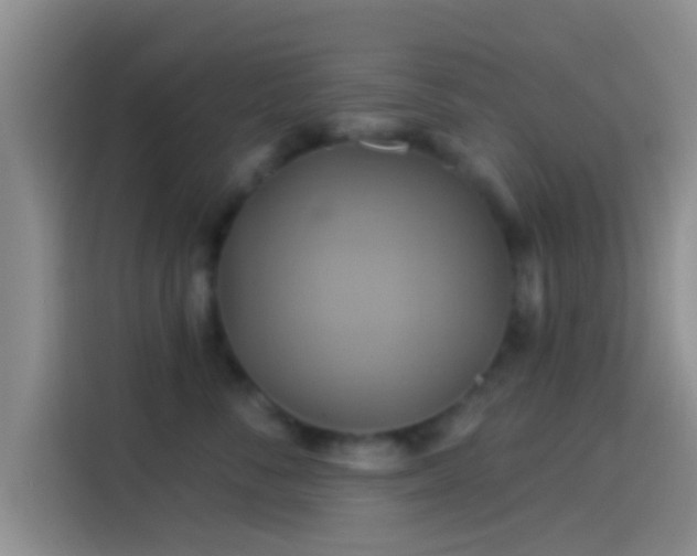 X0000114100716200910131322