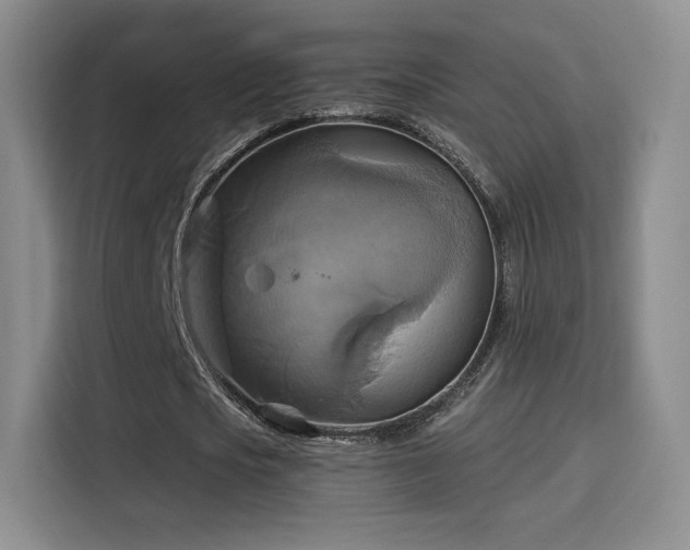 X0000114100721200910131321