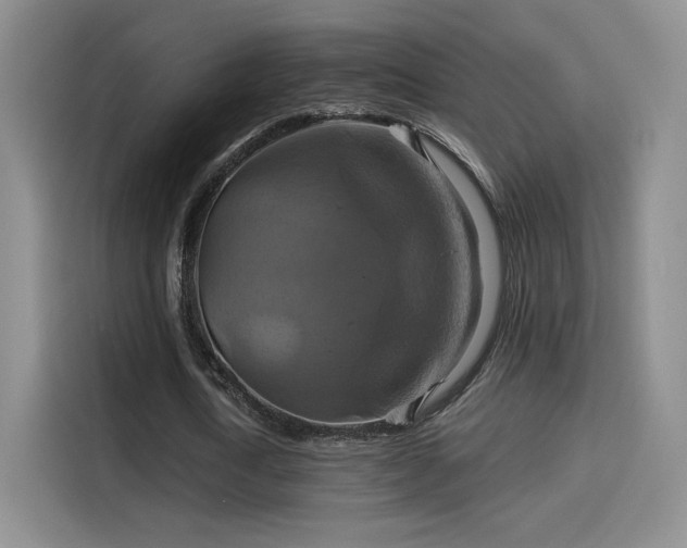 X0000114100722200910131321