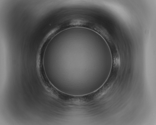 X0000114100724200910131321