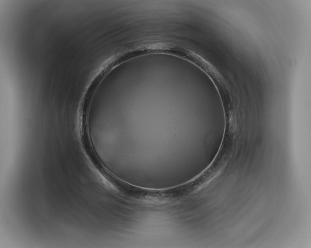 X0000114100725200910131321