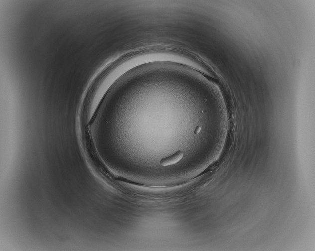 X0000114100726200910131321