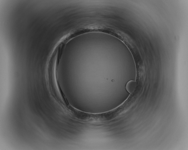 X0000114100727200910131321