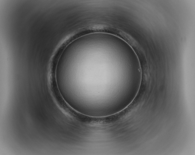 X0000114100728200910131321