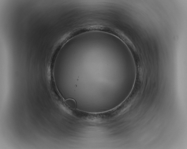 X0000114100729200910131321