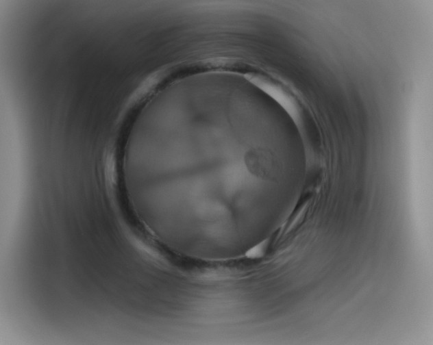 X0000114100734200910131322