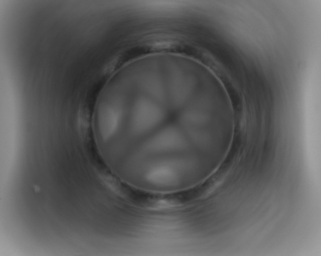 X0000114100737200910131322