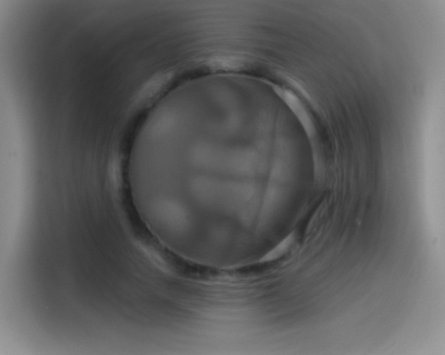 X0000114100738200910131322