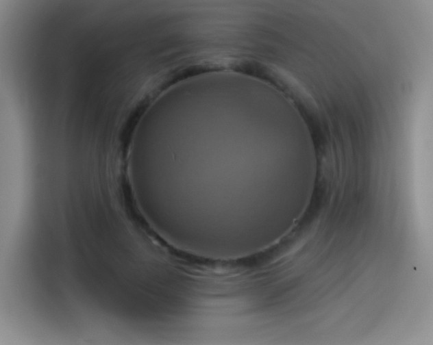 X0000114100739200910131322