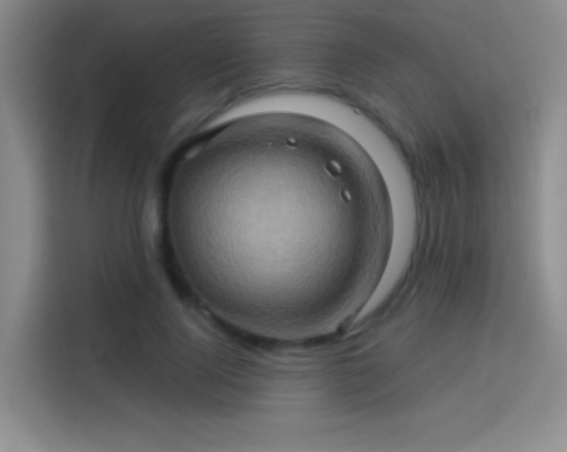 X0000114100740200910131322